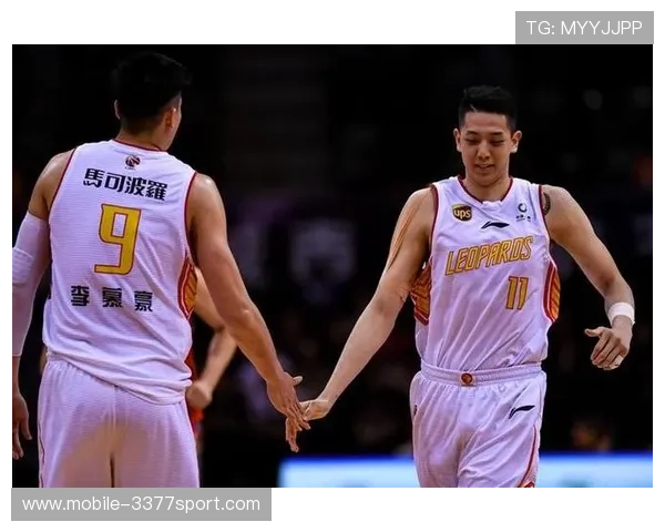 独家解析：上海篮球队球员个人能力全面对比与分析